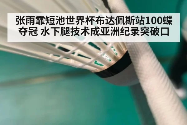 张雨霏短池世界杯布达佩斯站100蝶夺冠 水下腿技术成亚洲纪录突破口